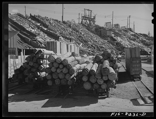 Butte, Montana. Anaconda Copper Mining Company. Timber yard of a copper mine