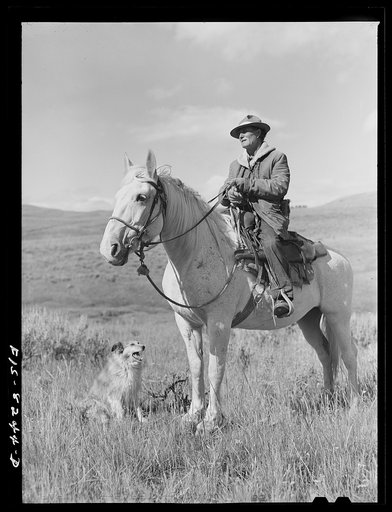 Gravelly Range, Madison County, Montana. Sheepherder and his horse and dog