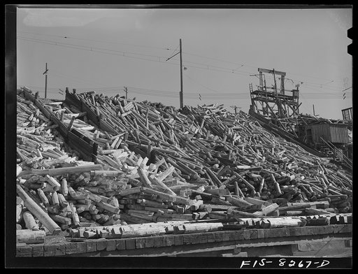 Butte, Montana. Anaconda Copper Mining Company. Yardful of timber to be used in the copper mines