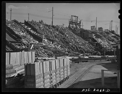 Butte, Montana. Anaconda Copper Mining Company. Yardful of timber to be used in the copper mines