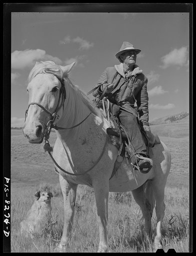 Gravelly Range, Madison County, Montana. Sheepherder