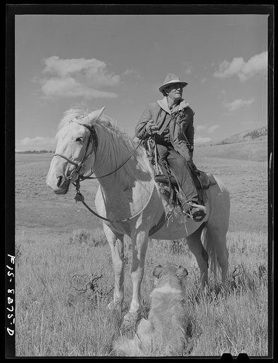 Gravelly Range, Madison County, Montana. Sheepherder