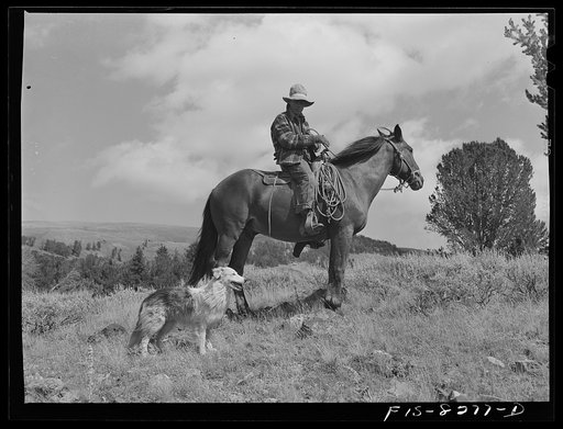 Gravelly Range, Madison County, Montana. Sheepherder