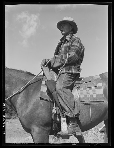 Gravelly Range, Madison County, Montana. Sheepherder