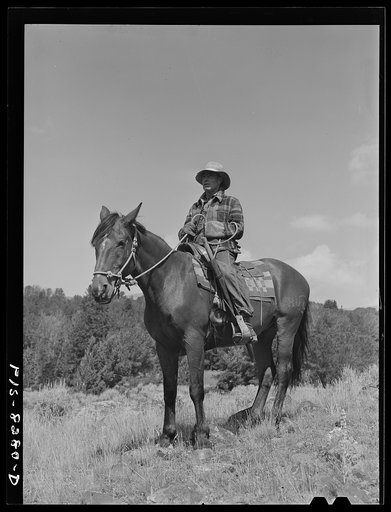 Gravelly Range, Madison County, Montana. Sheepherder