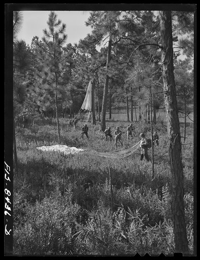 Untitled photo, possibly related to: Fort Bragg, North Carolina. Parachutists advancing through the woods after landing in a military demonstration