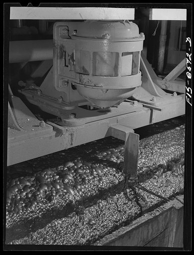 Anaconda smelter, Montana. Anaconda Copper Mining Company. Flotation machine in which particles of copper sulphide ore are attracted to the oily bubbles which retain the minerals by the process of adsorption; the ore floats and is skimmed off from the gangue, which remains submerged and it (the gang