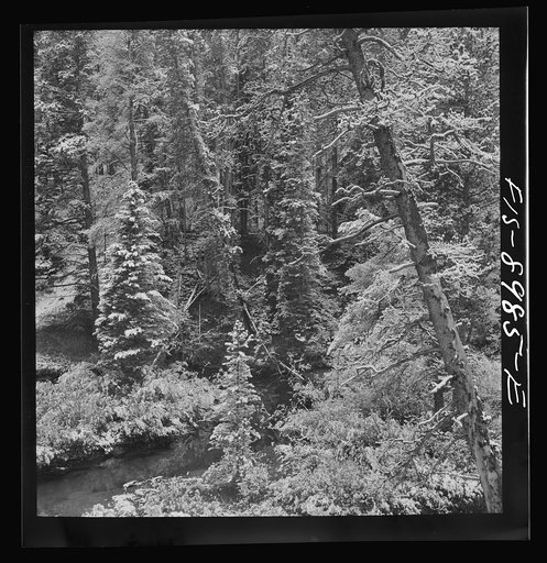 Untitled photo, possibly related to: Lewis and Clark National Forest, Meagher County, Montana. First snow of the season along mountain stream