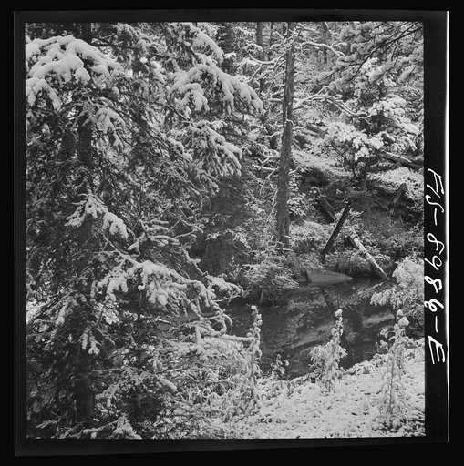 Lewis and Clark National Forest, Meagher County, Montana. First snow of the season along mountain stream