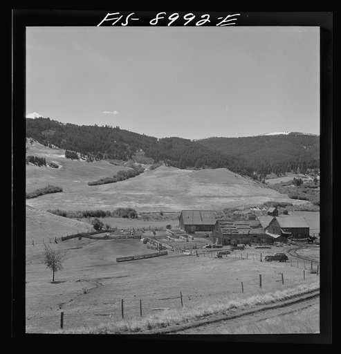 Park County, Montana. Cattle ranch