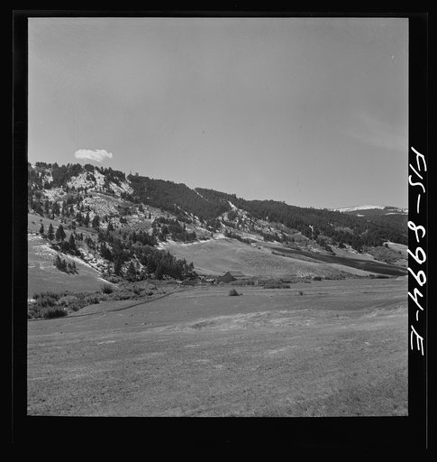 Untitled photo, possibly related to: Park County, Montana. Cattle ranch