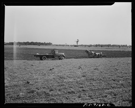 Inkster (vicinity?), Michigan. Farmer using a cultivator on a farm. Typical farm truck