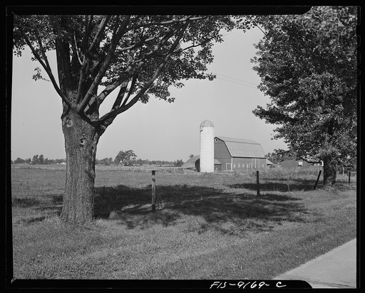 Ann Arbor (vicinity), Michigan. Barn and silo