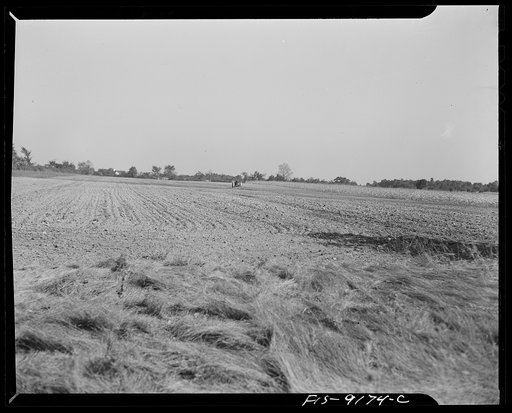 Ann Arbor (vicinity), Michigan. Field