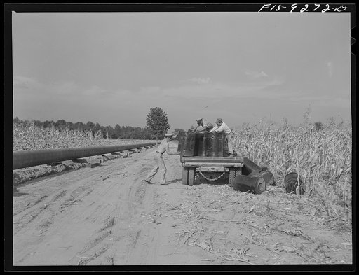 Little Rock, Arkansas to Missouri-Arkansas state line. War emergency pipeline from Longview, Texas to Norris City, Illinois. Unloading barrels of primer along the line ahead of the priming crew. The pot firing crew will be along next to break this up and heat it