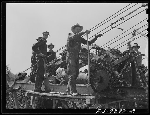 Arkansas-Texas state line to Gurdon, Arkansas. War emergency pipeline from Longview, Texas to Norris City, Illinois. Crew of the digging machine