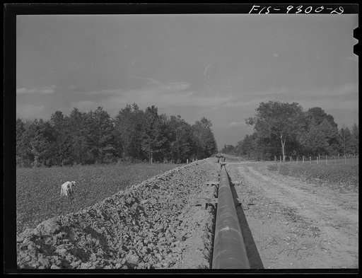 Little Rock, Arkansas to Missouri-Arkansas state line. War emergency pipeline from Longview, Texas to Norris City, Illinois. Pipeline cutting through a cotton field