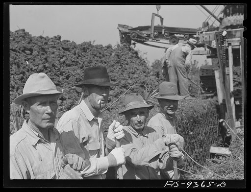 Arkansas-Texas state line to Gurdon, Arkansas. War emergency pipeline from Longview, Texas to Norris City, Illinois. Pick and shovel workers following the ditching machine