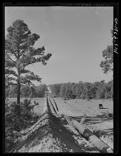 Untitled photo, possibly related to: Longview, Texas to Arkansas state line. War emergency pipeline from Longview, Texas to Norris City, Illinois. Pipe primed but not yet wrapped. Notice slack to allow for concentration when oil starts flowing through