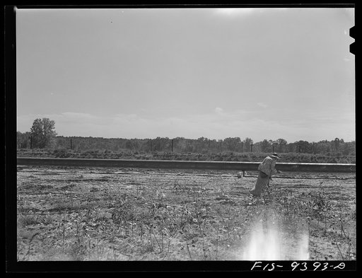 Untitled photo, possibly related to: Longview, Texas to Arkansas state line. War emergency pipeline from Longview, Texas to Norris, Illinois. Train of oil tankcars crossing the pipeline