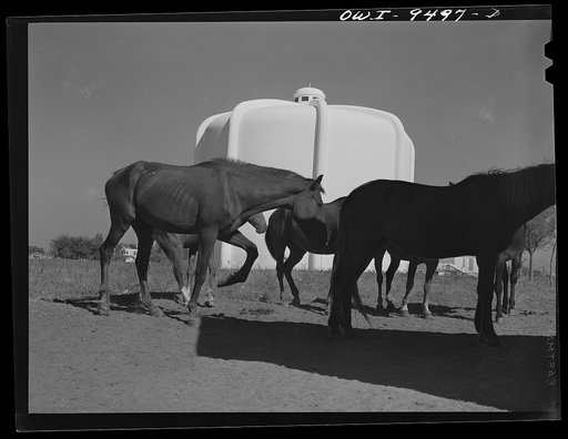 Untitled photo, possibly related to: Tulsa, Oklahoma. Oil tank on the grounds of the international petroleum exposition