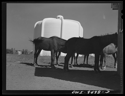 Untitled photo, possibly related to: Tulsa, Oklahoma. Oil tank on the grounds of the international petroleum exposition