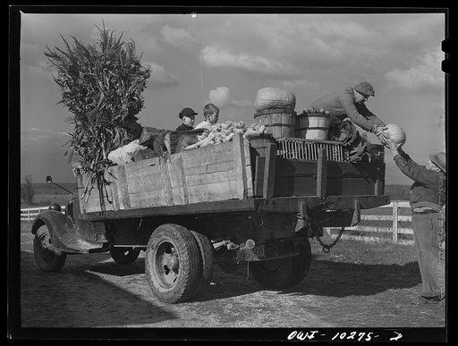 Untitled photo, possibly related to: Montgomery County, Maryland. Farmers sharing a truck on market day
