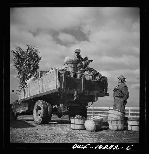 Untitled photo, possibly related to: Montgomery County, Maryland. Farmers sharing a truck on market day