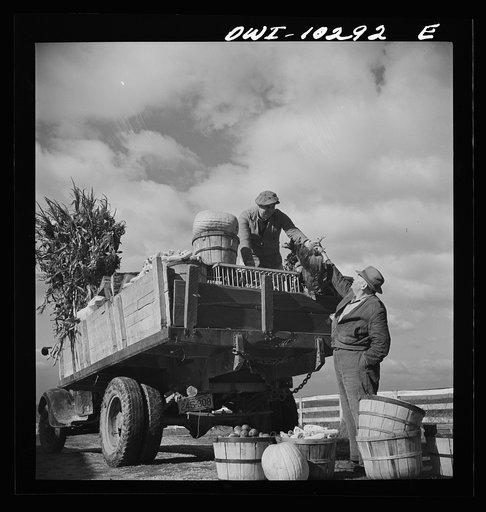 Untitled photo, possibly related to: Montgomery County, Maryland. Farmers sharing a truck on market day