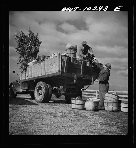 Montgomery County, Maryland. Farmers sharing a truck on market day
