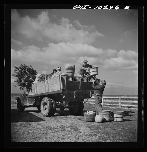 Montgomery County, Maryland. Farmers sharing a truck on market day