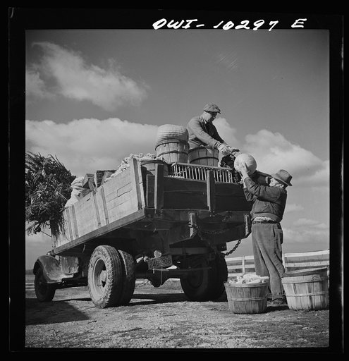 Montgomery County, Maryland. Farmers sharing a truck on market day