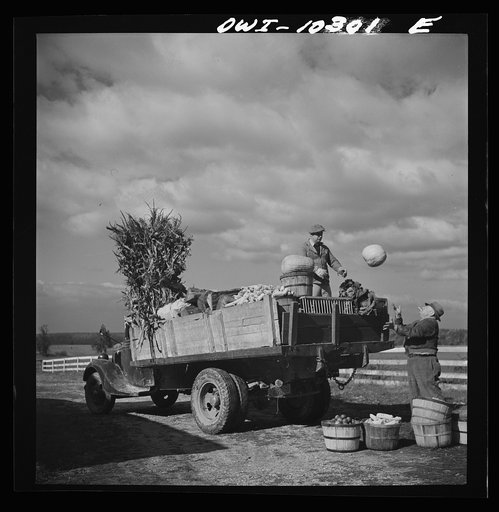 Montgomery County, Maryland. Farmers sharing a car on market day