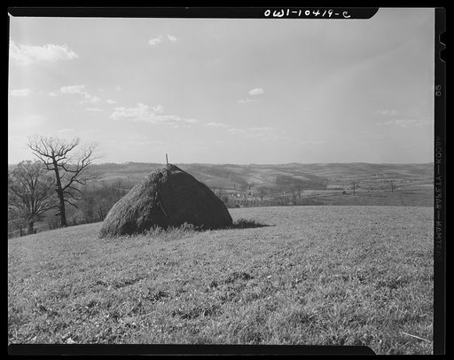Pittsburgh, Pennsylvania (vicinity). Montour no. 4 mine of the Pittsburgh Coal Company. Above the coal seam, dairy and farm lands lay undisturbed. Only occasionally there will be "sinks" and large "pot holes" caused by the collapsing of "mined out" areas of the seam