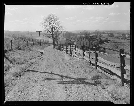 Pittsburgh, Pennsylvania (vicinity). Montour no. 4 mine of the Pittsburgh Coal Company. Above the coal seam, dairy and farm lands lay undisturbed. Only occasionally there will be "sinks" and large "pot holes" caused by the collapsing of "mined out" areas of the seam