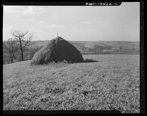 Pittsburgh, Pennsylvania (vicinity). Montour no. 4 mine of the Pittsburgh Coal Company. Above the coal seam, dairy and farm lands lay undisturbed. Only occasionally there will be "sinks" and large "pot holes" caused by the collapsing of "mined out" areas of the seam