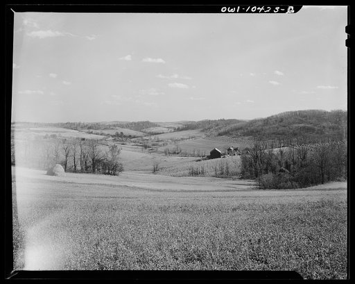 Untitled photo, possibly related to: Pittsburgh, Pennsylvania (vicinity). Montour no. 4 mine of the Pittsburgh Coal Company. Above the coal seam, dairy and farm lands lay undisturbed. Only occasionally there will be "sinks" and large "pot holes" caused by the collapsing of "mined out" areas of the s