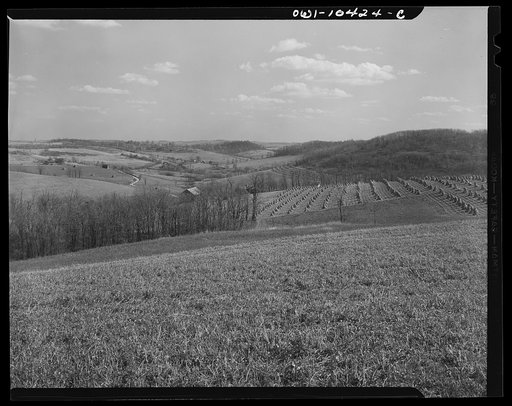 Untitled photo, possibly related to: Pittsburgh, Pennsylvania (vicinity). Montour no. 4 mine of the Pittsburgh Coal Company. Above the coal seam, dairy and farm lands lay undisturbed. Only occasionally there will be "sinks" and large "pot holes" caused by the collapsing of "mined out" areas of the s