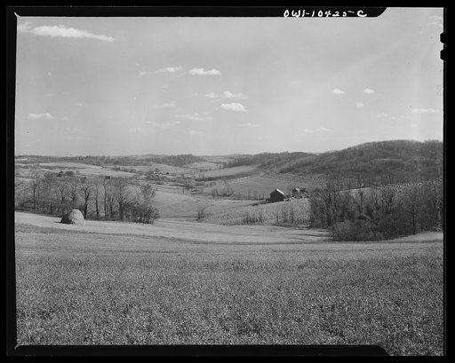 Pittsburgh, Pennsylvania (vicinity). Montour no. 4 mine of the Pittsburgh Coal Company. Above the coal seam, dairy and farm lands lay undisturbed. Only occasionally there will be "sinks" and large "pot holes" caused by the collapsing of "mined out" areas of the seam