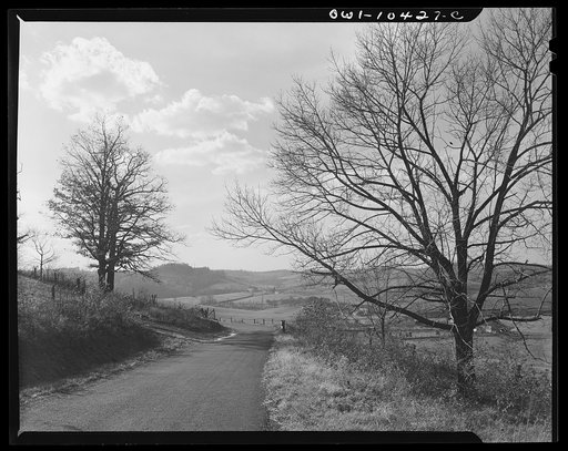 Pittsburgh, Pennsylvania (vicinity). Montour no. 4 mine of the Pittsburgh Coal Company. Above the coal seam, dairy and farm lands lay undisturbed. Only occasionally there will be "sinks" and large "pot holes" caused by the collapsing of "mined out" areas of the seam