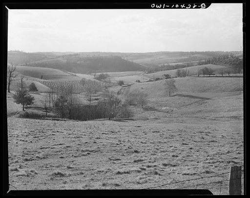 Pittsburgh, Pennsylvania (vicinity). Montour no. 4 mine of the Pittsburgh Coal Company. Above the coal seam, dairy and farm lands lay undisturbed. Only occasionally there will be "sinks" and large "pot holes" caused by the collapsing of "mined out" areas of the seam