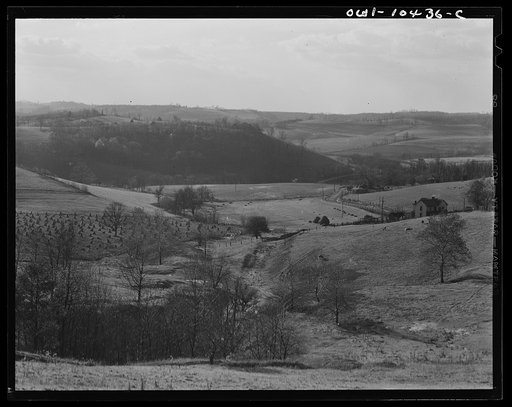 Pittsburgh, Pennsylvania (vicinity). Montour no. 4 mine of the Pittsburgh Coal Company. Above the coal seam, dairy and farm lands lay undisturbed. Only occasionally there will be "sinks" and large "pot holes" caused by the collapsing of "mined out" areas of the seam