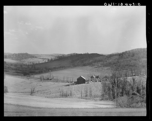 Pittsburgh, Pennsylvania (vicinity). Montour no. 4 mine of the Pittsburgh Coal Company. Above the coal seam, dairy and farm lands lay undisturbed. Only occasionally there will be "sinks" and large "pot holes" caused by the collapsing of "mined out" areas of the seam
