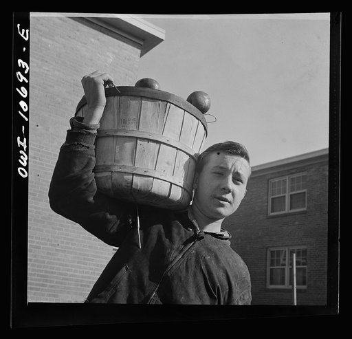 Washington, D.C. Young huckster in the Southwest section