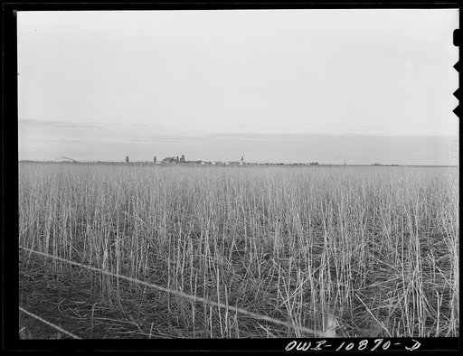Untitled photo, possibly related to: Approaching Dumas, Texas