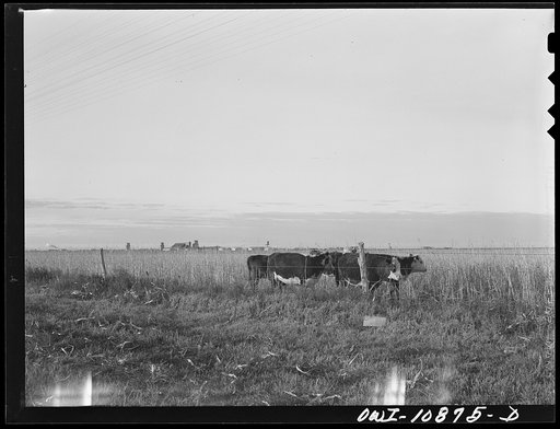 Approaching Dumas, Texas