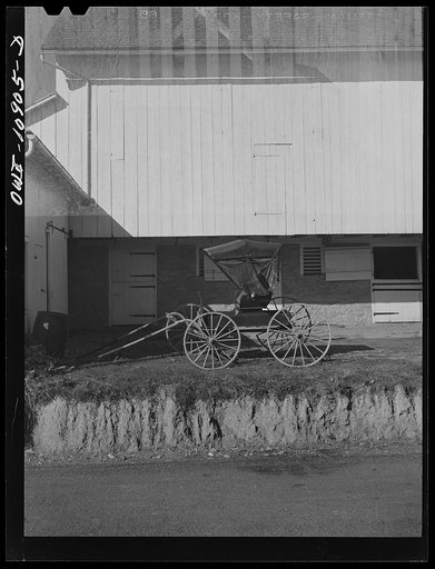 Untitled photo, possibly related to: Manheim, Lancaster County, Pennsylvania. A farmer who rides into town every day in a buggy to work in a hardware store leaves his horse in a friend's barn on the outskirts of town