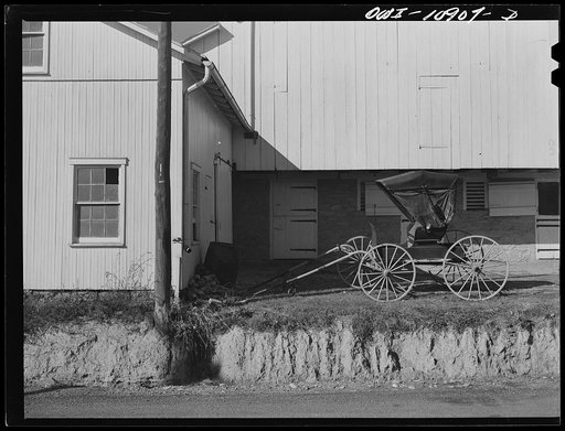 Manheim, Lancaster County, Pennsylvania. A farmer who rides into town every day in a buggy to work in a hardware store leaves his horse in a friend's barn on the outskirts of town