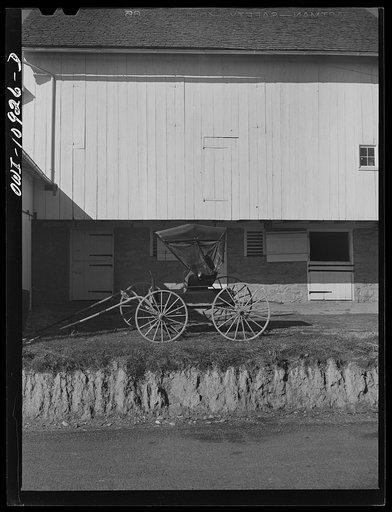Manheim, Lancaster County, Pennsylvania. A farmer who rides into town every day in a buggy to work in a hardware store leaves his horse in a friend's barn on the outskirts of town