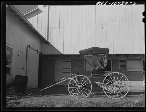 Untitled photo, possibly related to: Manheim, Lancaster County, Pennsylvania. A farmer who rides into town every day in a buggy to work in a hardware store leaves his horse in a friend's barn on the outskirts of town